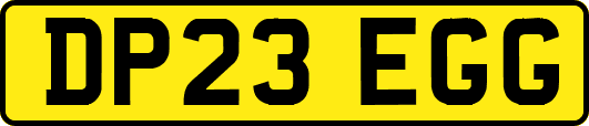 DP23EGG