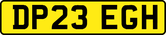DP23EGH