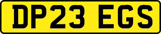 DP23EGS