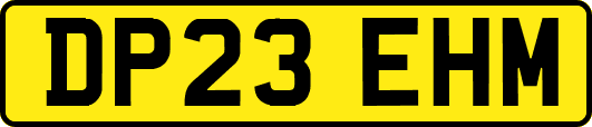 DP23EHM