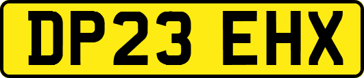 DP23EHX