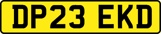 DP23EKD