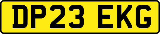 DP23EKG