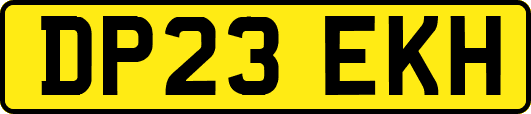 DP23EKH