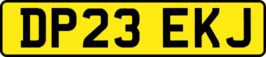 DP23EKJ