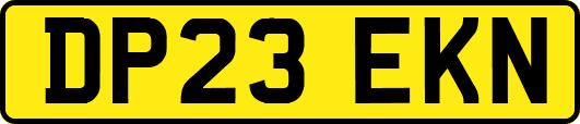 DP23EKN