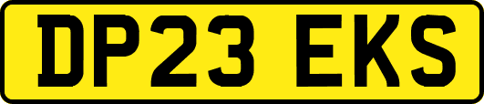 DP23EKS