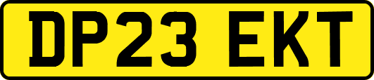 DP23EKT