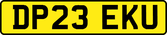 DP23EKU