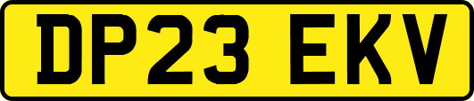 DP23EKV