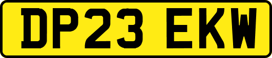 DP23EKW