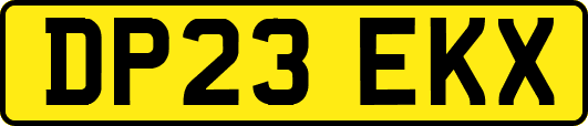 DP23EKX