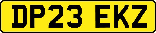 DP23EKZ