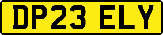 DP23ELY