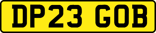 DP23GOB
