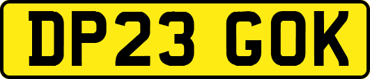 DP23GOK