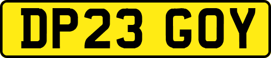 DP23GOY