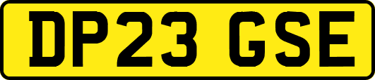 DP23GSE