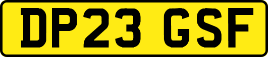 DP23GSF