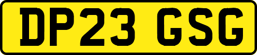DP23GSG