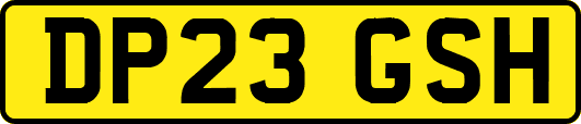 DP23GSH