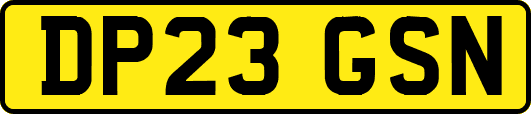 DP23GSN