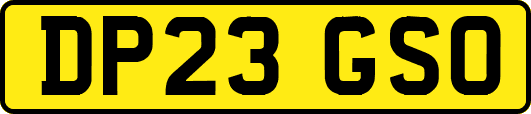 DP23GSO
