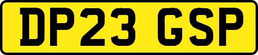 DP23GSP