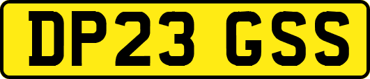 DP23GSS