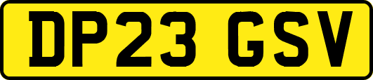 DP23GSV