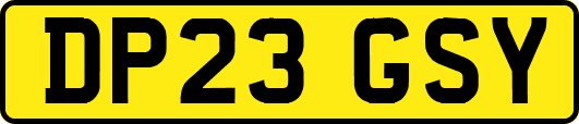 DP23GSY