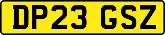 DP23GSZ