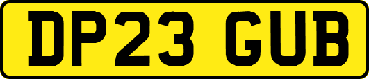 DP23GUB