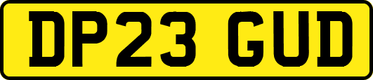 DP23GUD