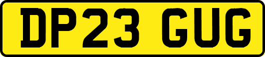 DP23GUG