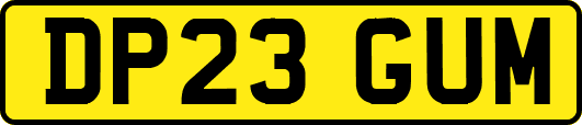 DP23GUM