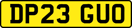 DP23GUO