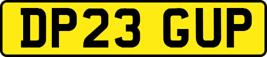 DP23GUP