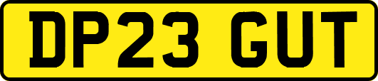 DP23GUT