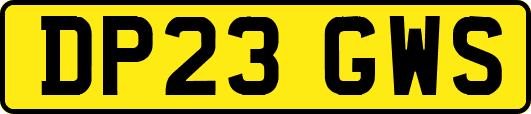 DP23GWS