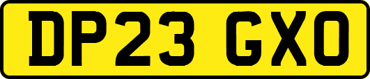 DP23GXO