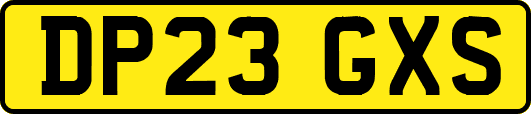 DP23GXS