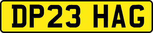 DP23HAG