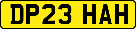 DP23HAH