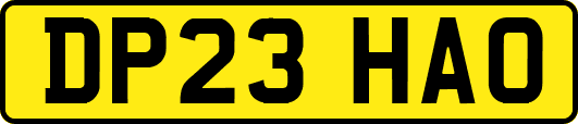 DP23HAO