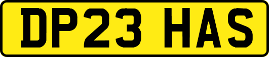 DP23HAS