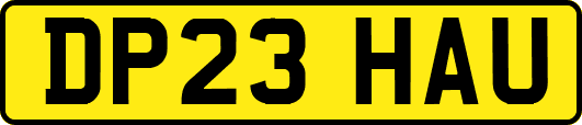 DP23HAU