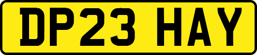 DP23HAY