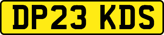 DP23KDS
