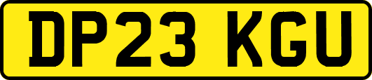 DP23KGU